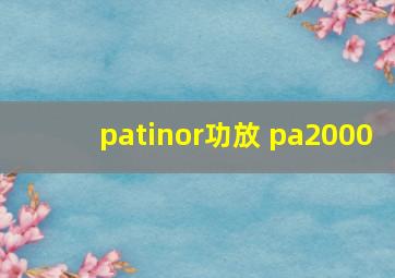 patinor功放 pa2000